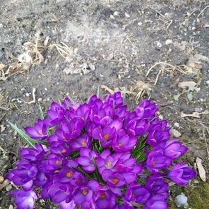 Meet your Posher, Cathy